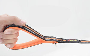 Discover the Perfect Nylon Retractable Pet Leash