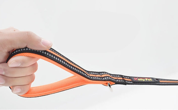 Discover the Perfect Nylon Retractable Pet Leash