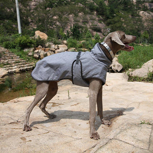 Keep Your Furry Friend Warm This Winter with Our Pet Winter Outdoor Shell Ski Jacket Suit