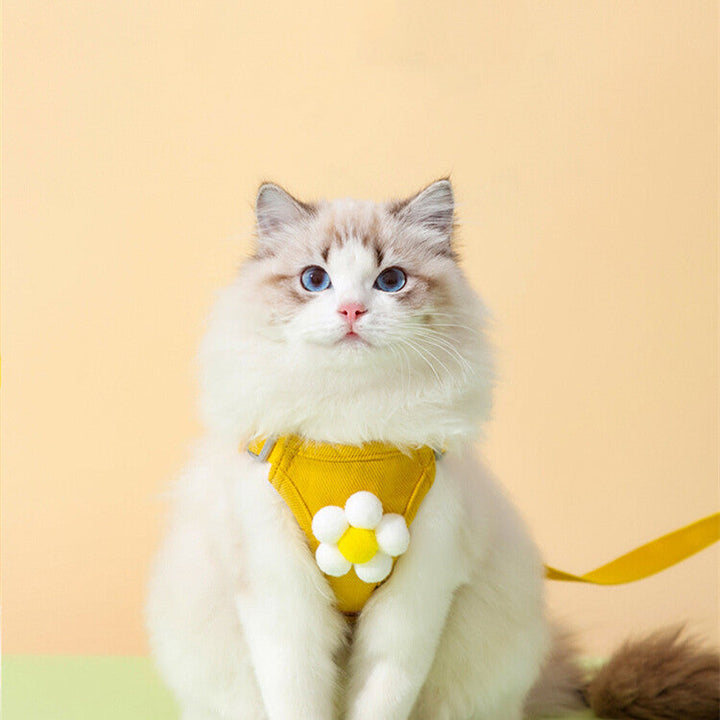 Discover the Ultimate Anti Breakaway Pet Undershirt Chest Harness Leash