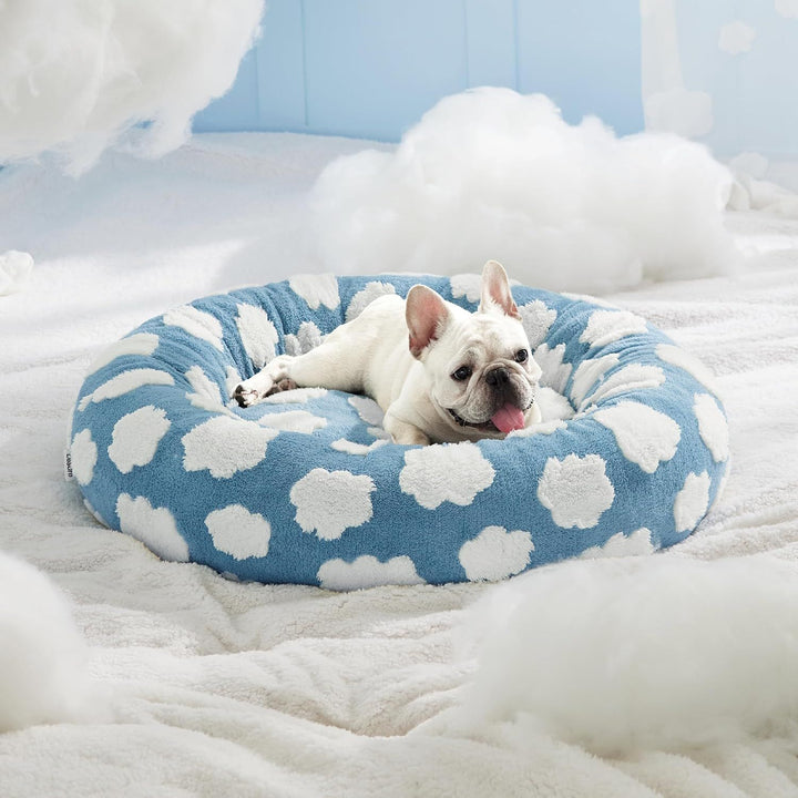 Discover the All Season Round Warm Pet Bed: A Cozy Haven for Your Furry Friends